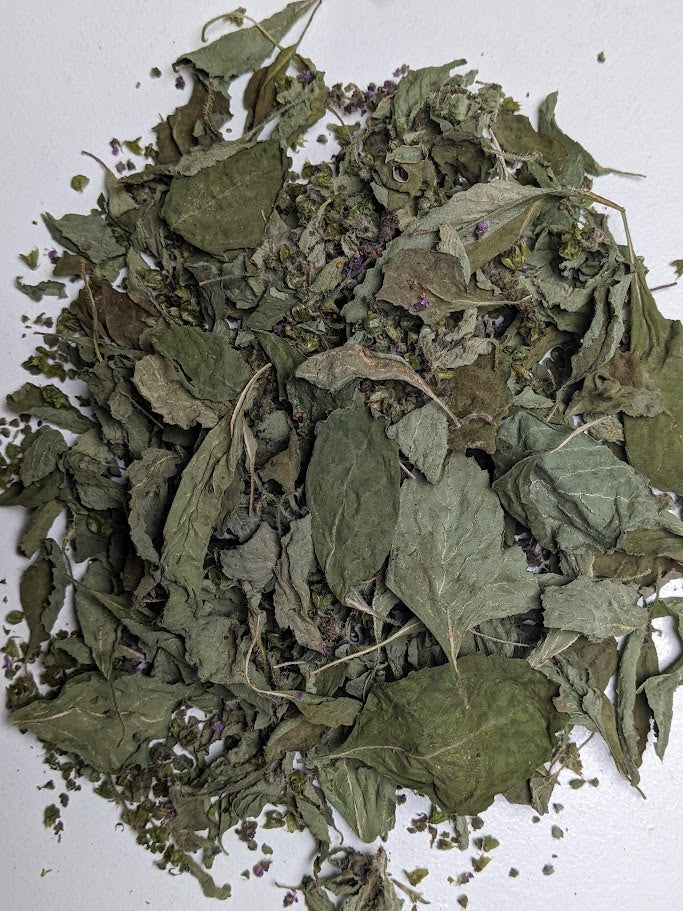 Tulsi Holy Basil - Premium Air Dried - Produced in Oregon by Little River Herbs