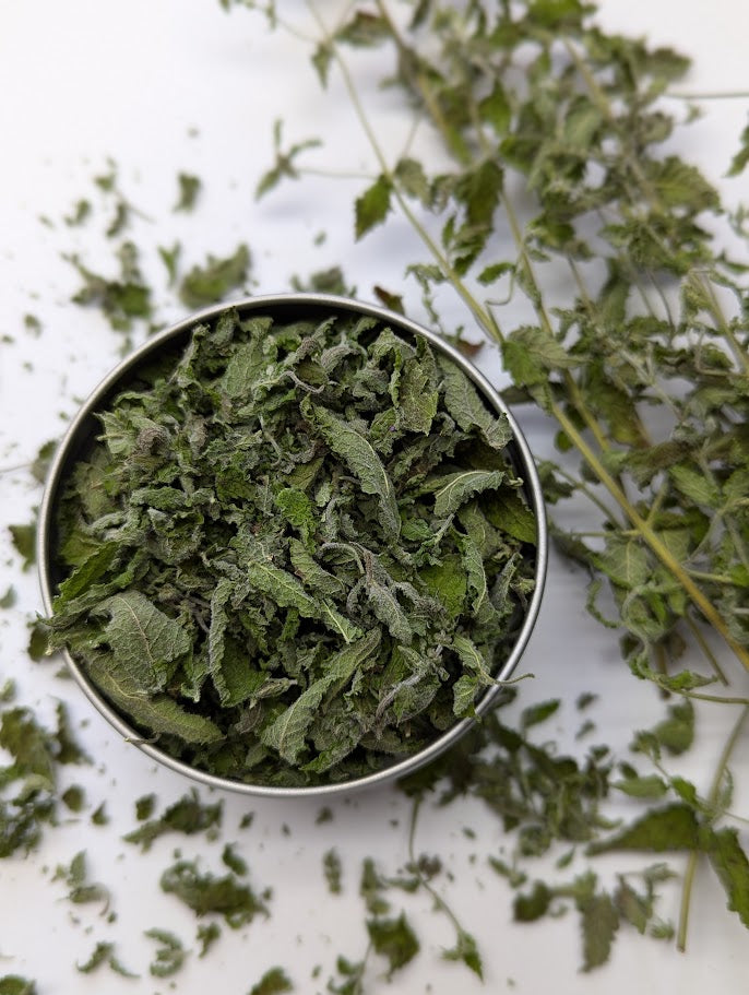 Strawberry Mint - Premium Air Dried - Produced in Oregon by Little River Herbs