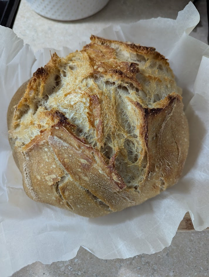 Sourdough Starter Kit - 100% Organic - Dehydrated - Shelf Stable - 10 grams