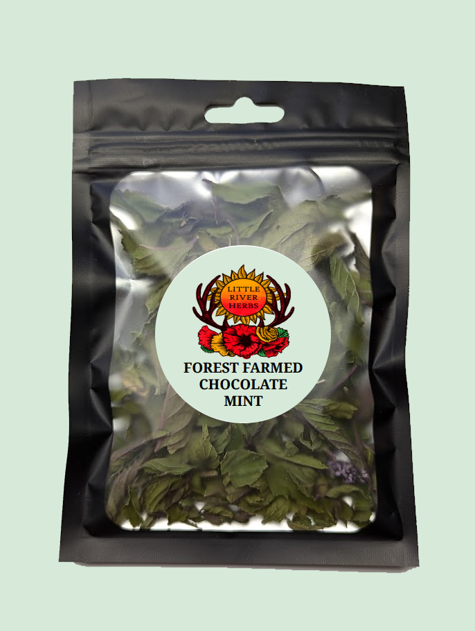 Chocolate Mint - Premium Air Dried - Produced in Oregon by Little River Herbs