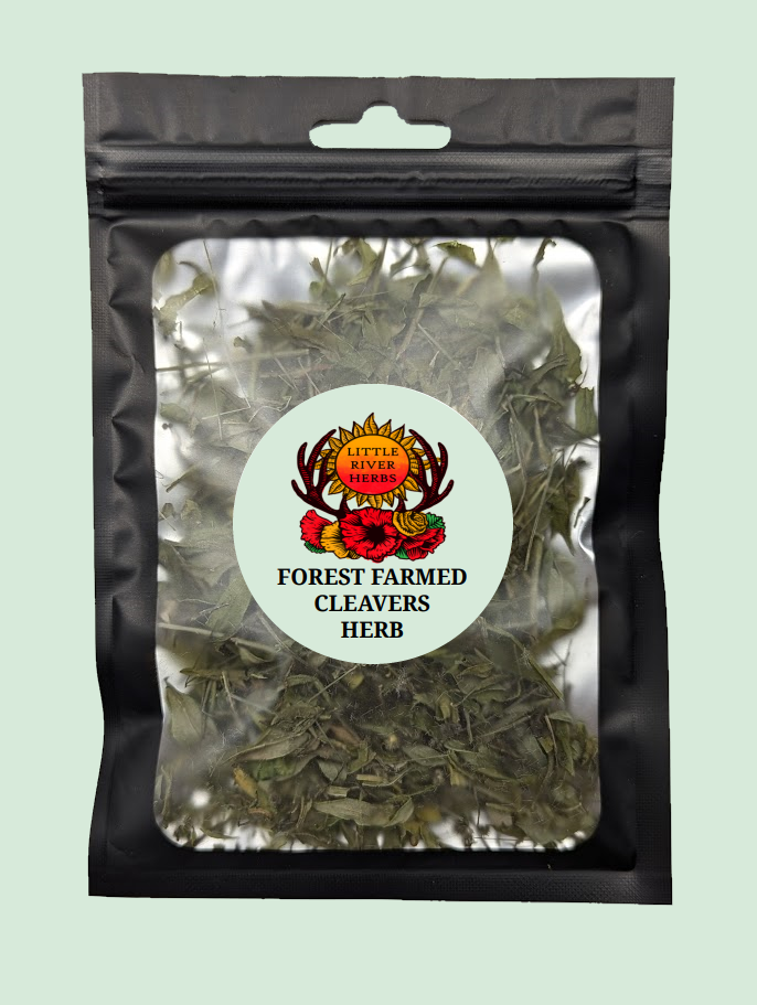 Cleavers - Premium Air Dried - Produced in Oregon by Little River Herbs