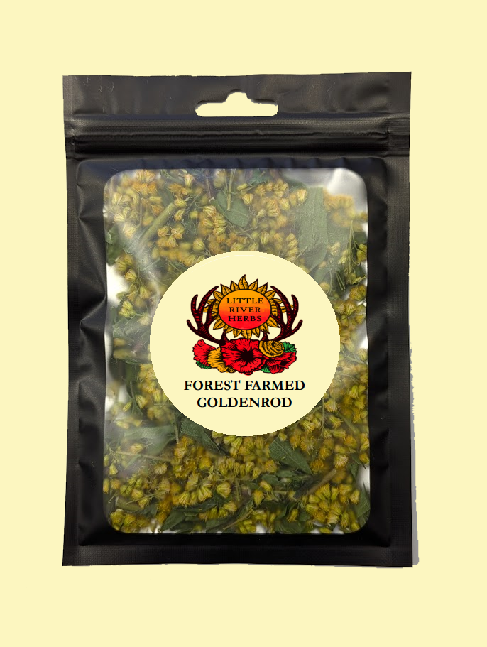 Goldenrod Leaves and Flowers - Premium Air Dried - Produced in Oregon by Little River Herbs