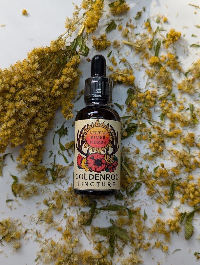 Goldenrod Tincture - Single Source Functional Botanical Extract - 1 oz