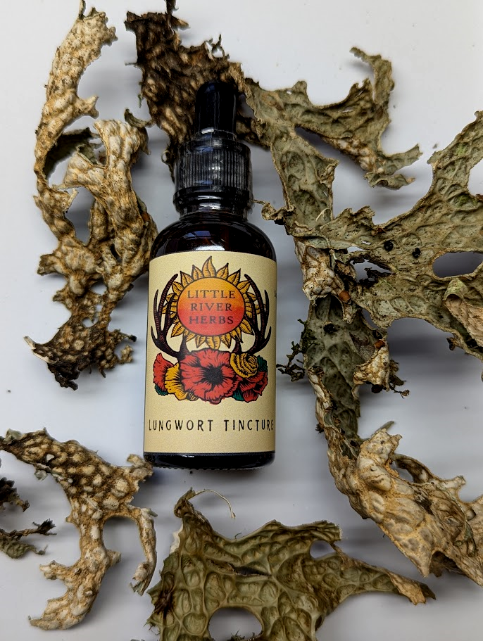 Lungwort Tincture - Single Source Functional Botanical Extract - 1 oz