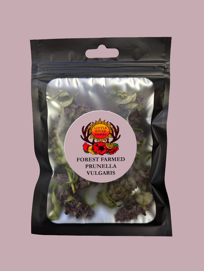 Prunella Vulgaris aka Self Heal - Whole Tops - Premium Air Dried - Produced in Oregon