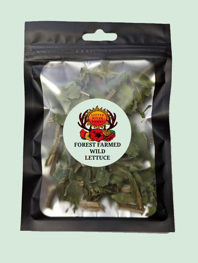 Wild Lettuce - Premium Air Dried - Produced in Oregon by Little River Herbs