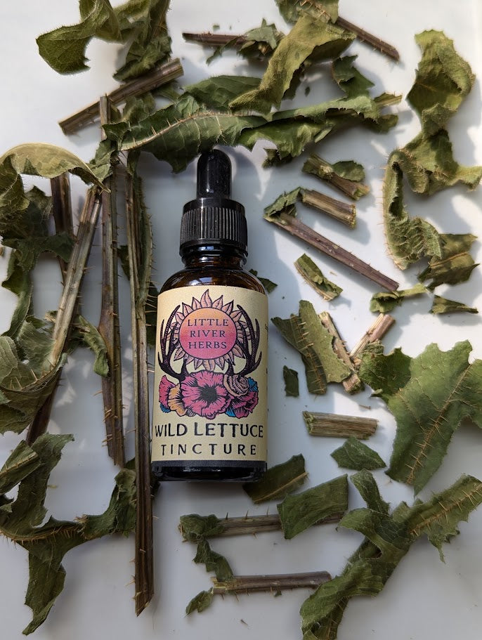 Wild Lettuce Tincture - Single Source Functional Botanical Extract - 1 oz