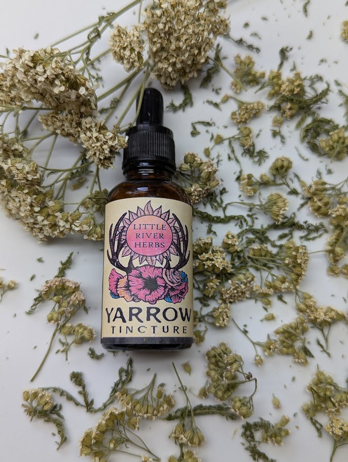 Yarrow Tincture - Single Source Functional Botanical Extract - 1 oz
