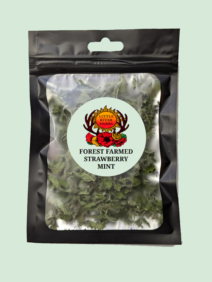 Strawberry Mint - Premium Air Dried - Produced in Oregon by Little River Herbs